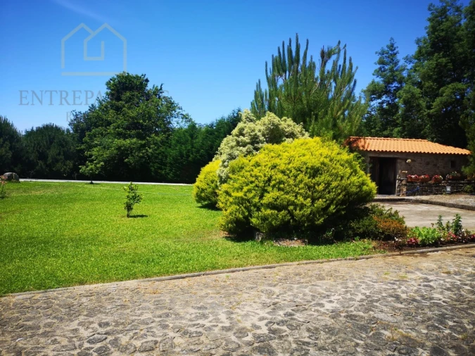 Quinta T7 para Venda em Mentrestido Foto 32