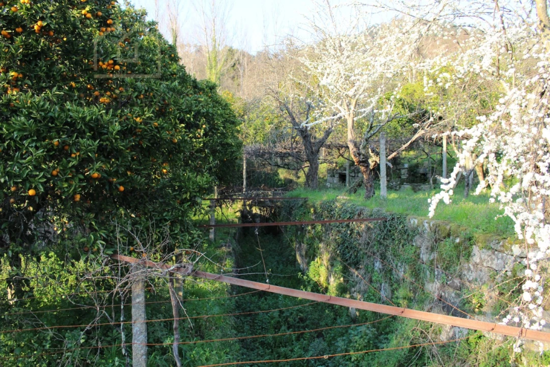Quinta para Venda em Penhalonga e Paços de Gaiolo Foto 18