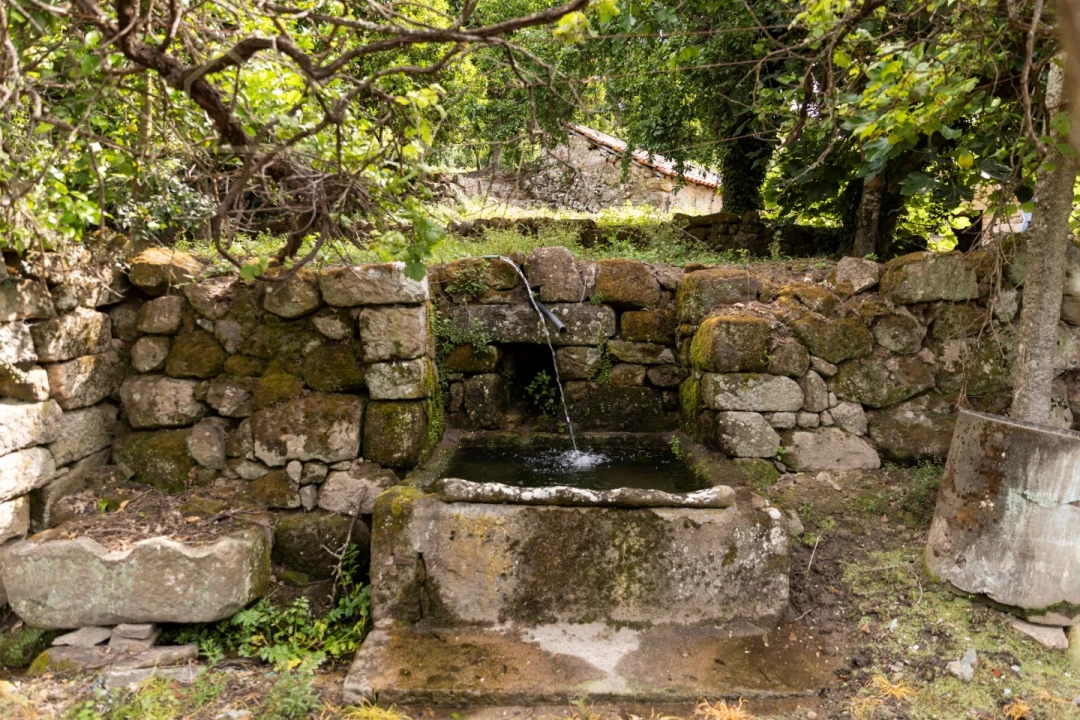 Quinta para Venda em Penhalonga e Paços de Gaiolo Foto 19