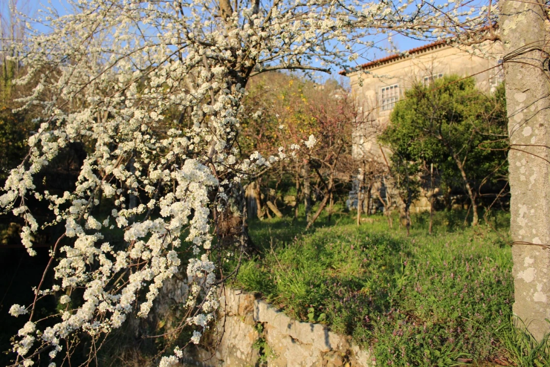 Quinta para Venda em Penhalonga e Paços de Gaiolo Foto 20
