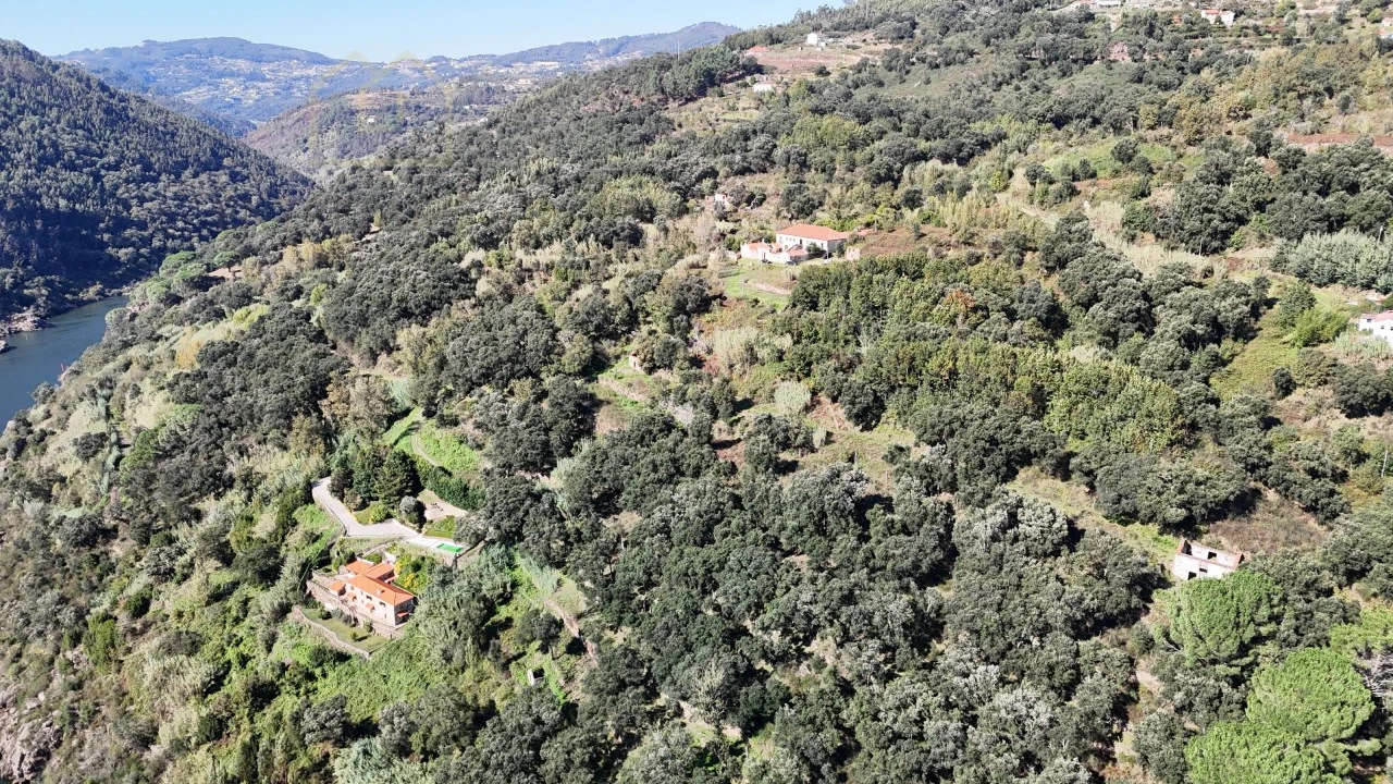Quinta para Venda em Penhalonga e Paços de Gaiolo Foto 51