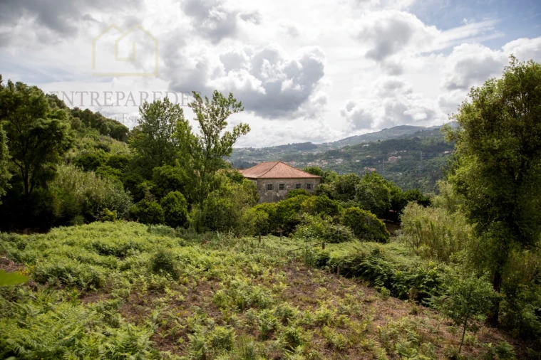 Quinta para Venda em Penhalonga e Paços de Gaiolo Foto 45