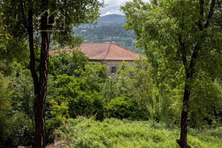 Quinta para Venda em Penhalonga e Paços de Gaiolo Foto 47