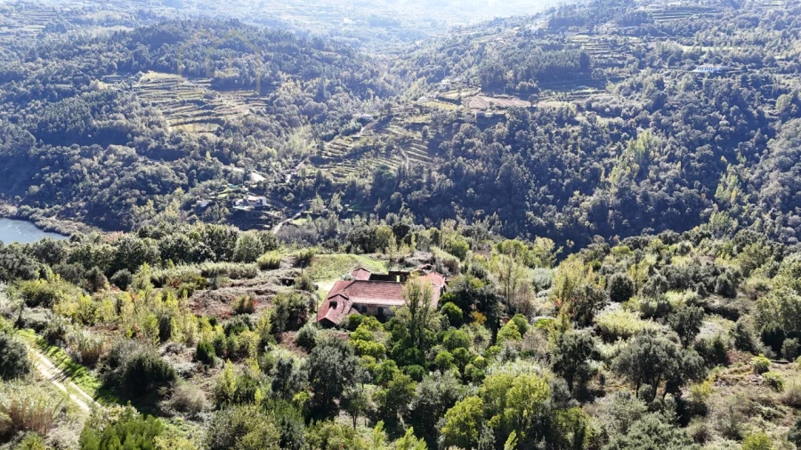 Quinta para Venda em Penhalonga e Paços de Gaiolo Foto 53