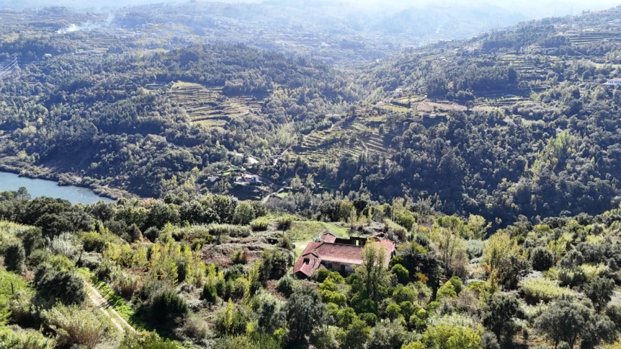 Quinta para Venda em Penhalonga e Paços de Gaiolo Foto 52