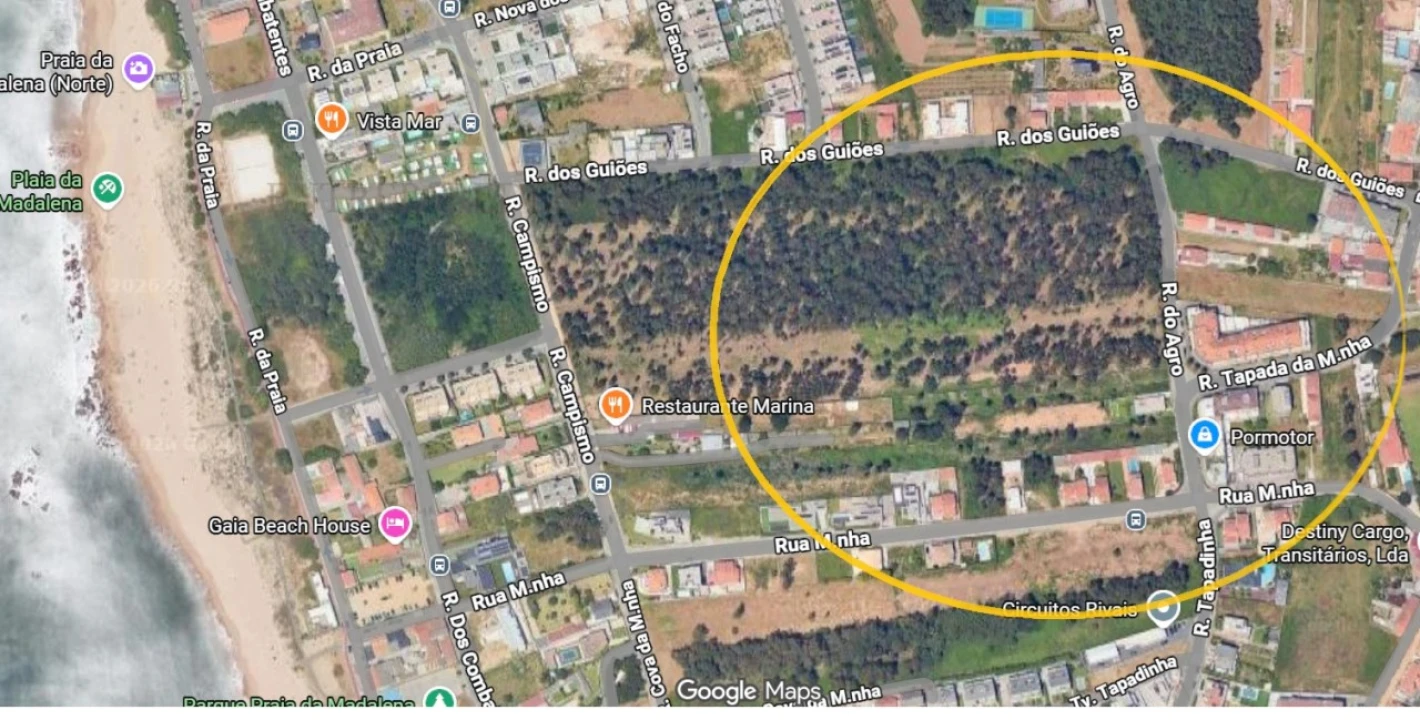 Loja para Venda em Madalena Foto 15