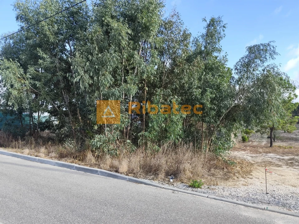 Terreno para Venda em Branca Foto 5