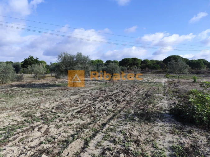 Terreno para Venda em Branca Foto 2