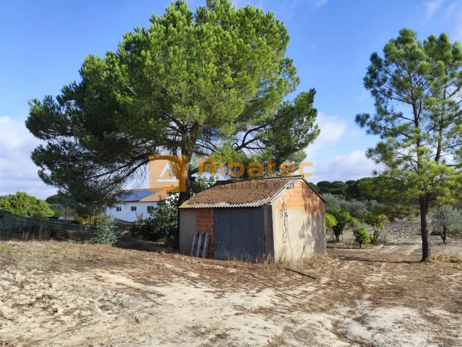 Terreno para Venda em Branca Foto 3