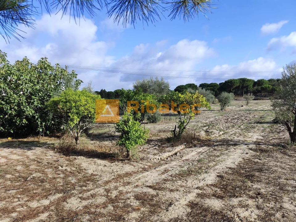 Terreno para Venda em Branca Foto 1