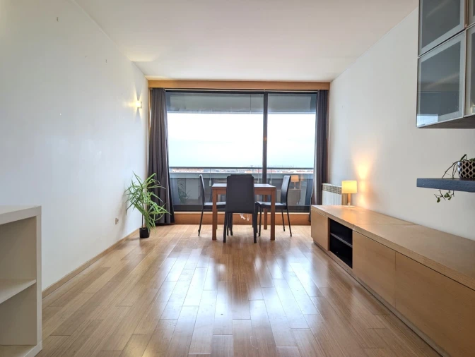 Apartamento T1 para Arrendamento em Aradas Foto 6