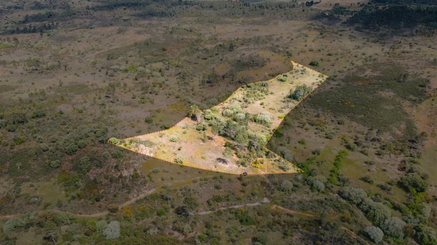 Terreno Agricola ou Rústico para Venda em Sarzedas Foto 5