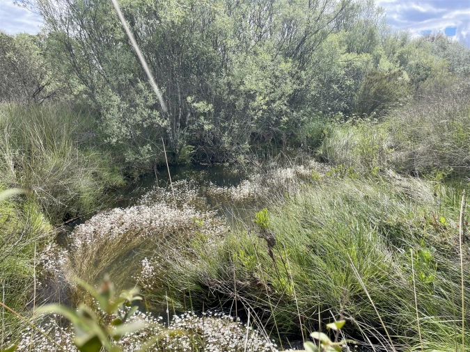 Terreno Agricola ou Rústico para Venda em Sarzedas Foto 17