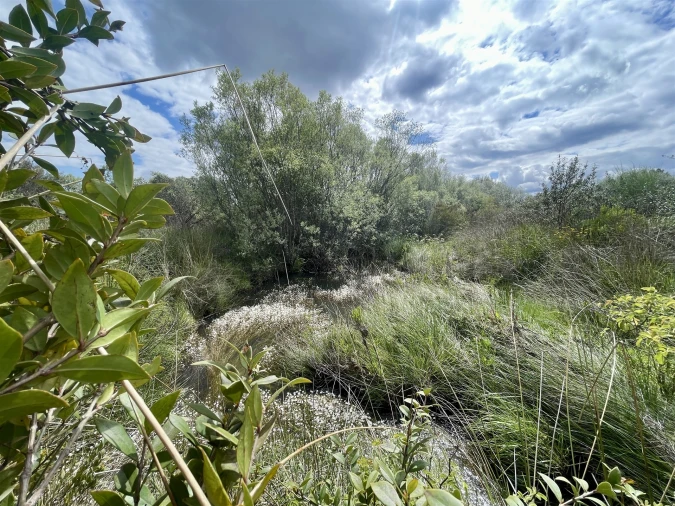 Terreno Agricola ou Rústico para Venda em Sarzedas Foto 18