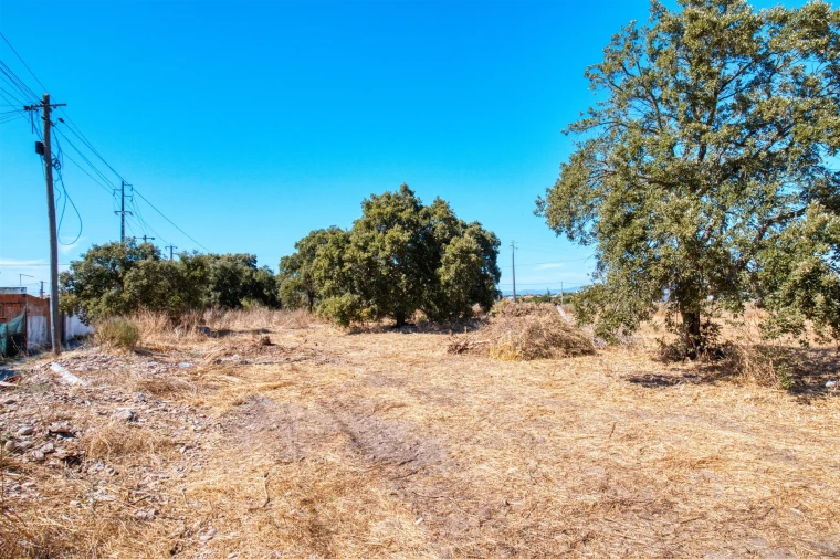 Moradia T3 para Arrendamento em Almeirim Foto 28