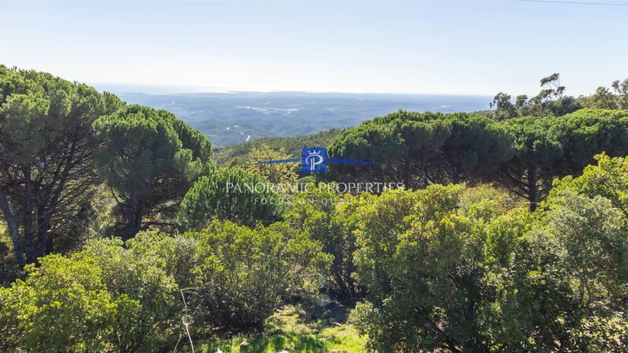 Moradia T4 para Venda em Monchique Foto 5