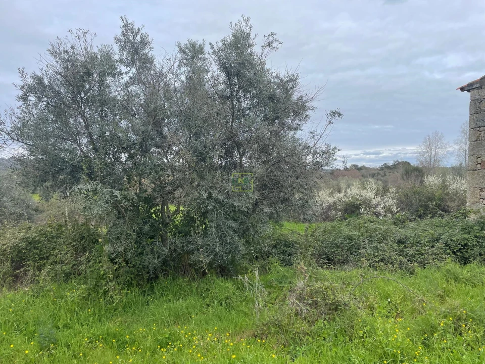 Quinta T0 para Venda em Oledo Foto 23