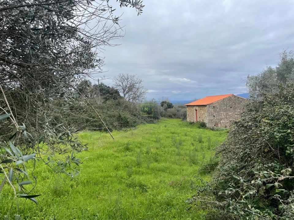 Quinta T0 para Venda em Oledo Foto 25