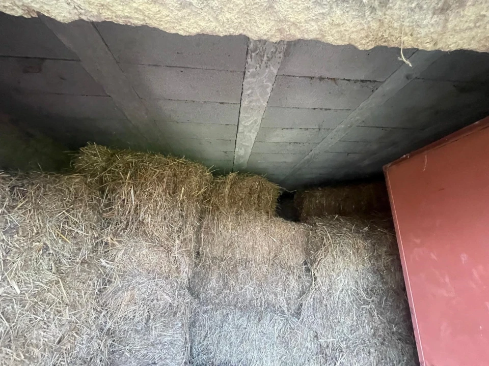 Quinta T0 para Venda em Oledo Foto 35