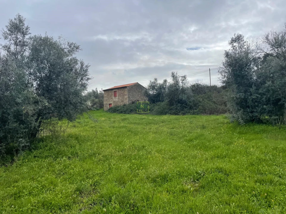 Quinta T0 para Venda em Oledo Foto 10