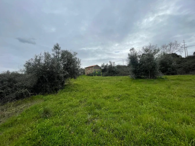 Quinta T0 para Venda em Oledo Foto 11