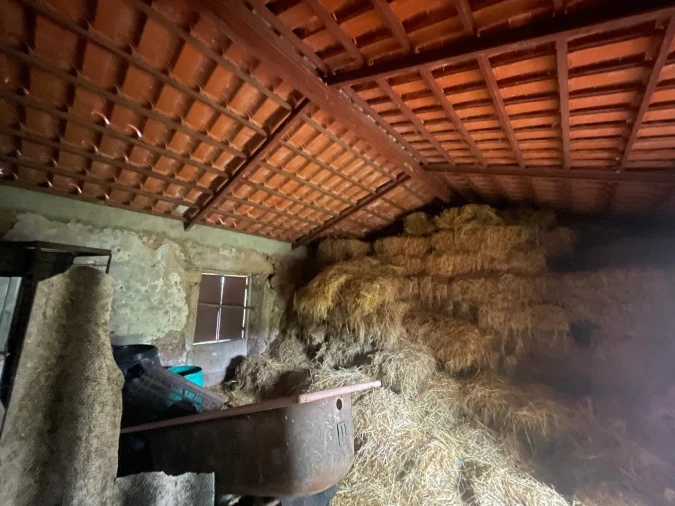 Quinta T0 para Venda em Oledo Foto 36