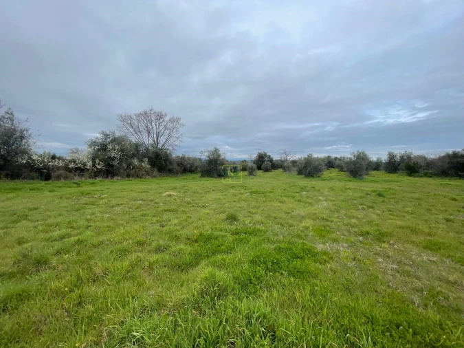 Quinta T0 para Venda em Oledo Foto 16