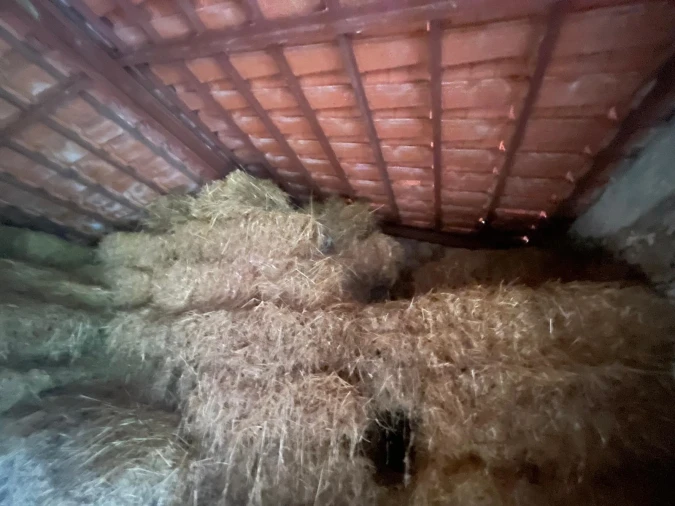 Quinta T0 para Venda em Oledo Foto 40