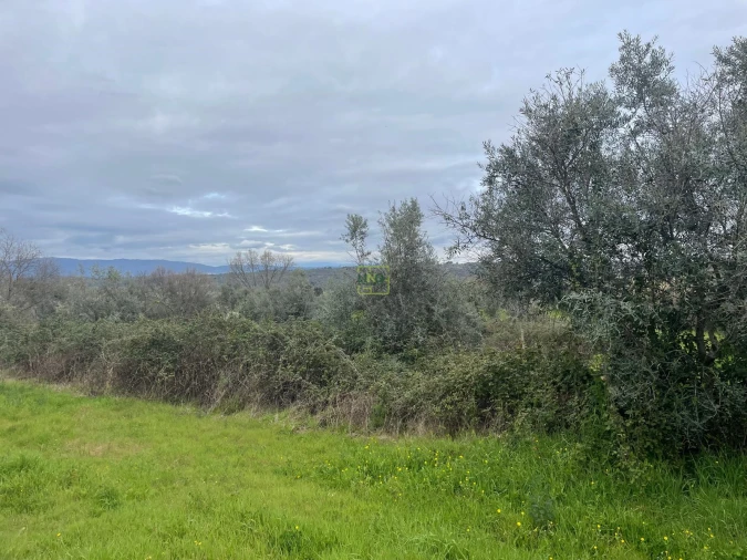 Quinta T0 para Venda em Oledo Foto 24