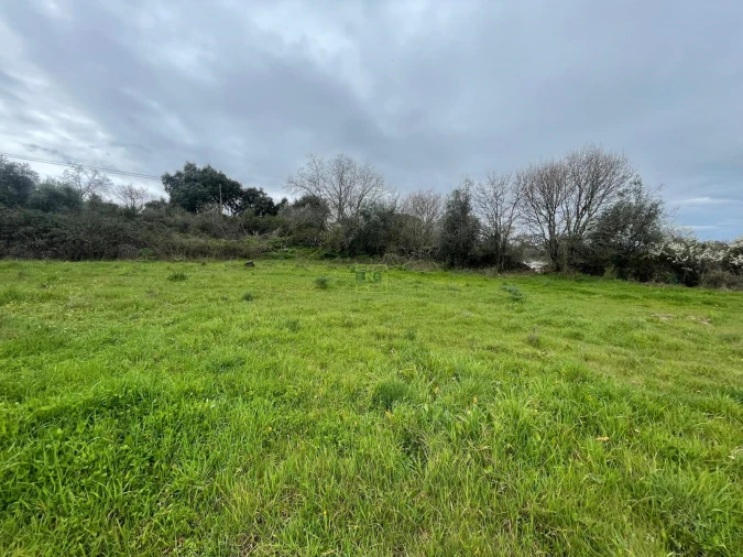 Quinta T0 para Venda em Oledo Foto 14