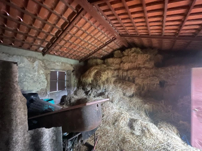 Quinta T0 para Venda em Oledo Foto 38