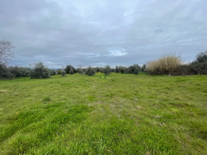 Quinta T0 para Venda em Oledo Foto 18