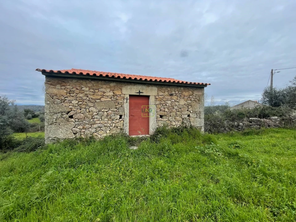 Quinta T0 para Venda em Oledo Foto 7