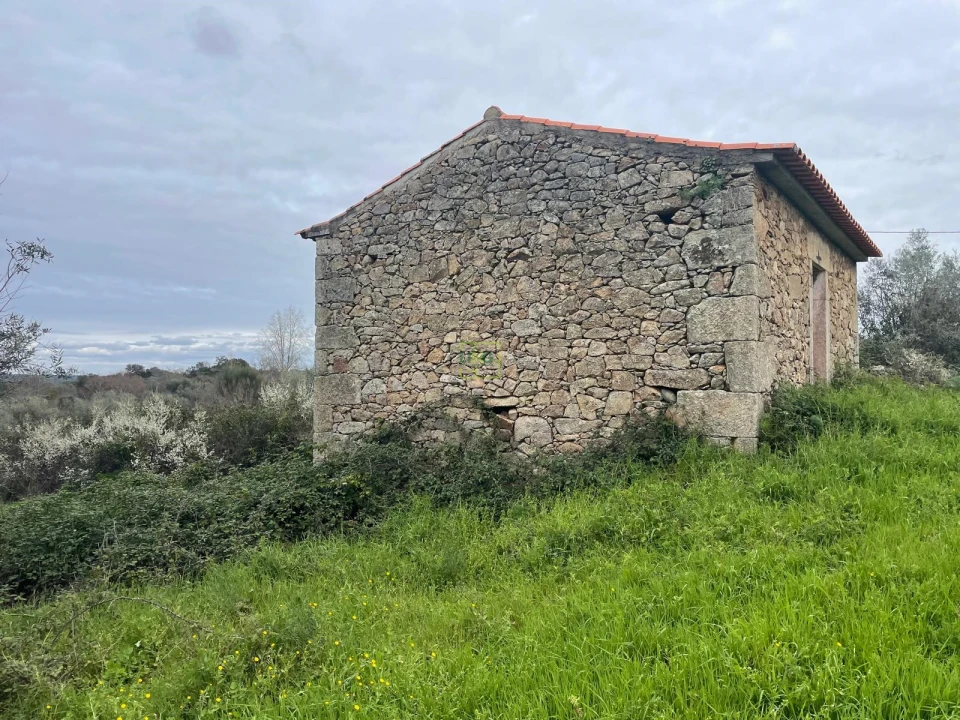 Quinta T0 para Venda em Oledo Foto 4