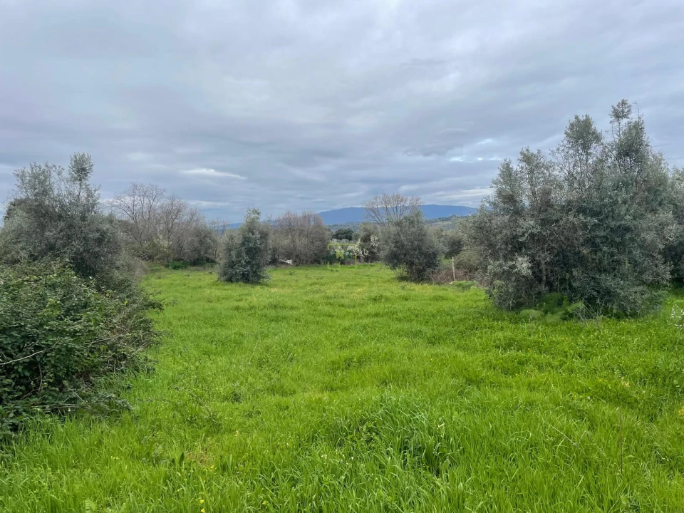 Quinta T0 para Venda em Oledo Foto 21