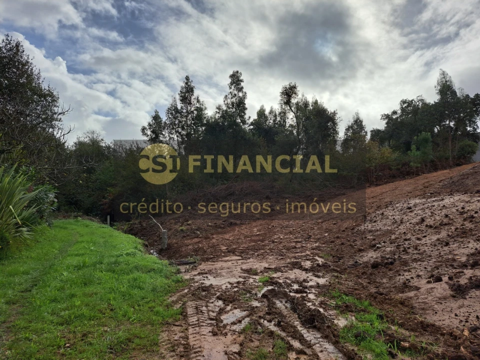 Terreno Agricola ou Rústico para Venda em Anta e Guetim Foto 6