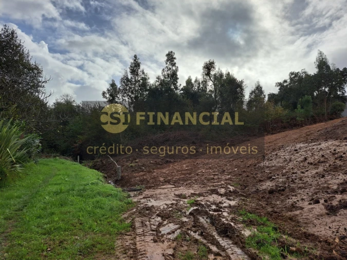 Terreno Agricola ou Rústico para Venda em Anta e Guetim Foto 6