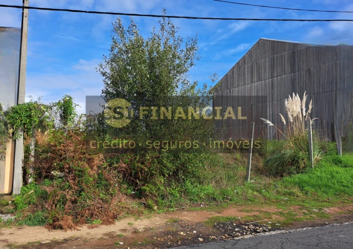 Terreno Agricola ou Rústico para Venda em Anta e Guetim Foto 5