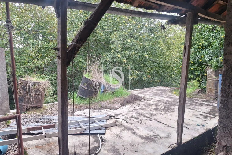 Moradia T3 para Venda em Santiago de Besteiros Foto 12