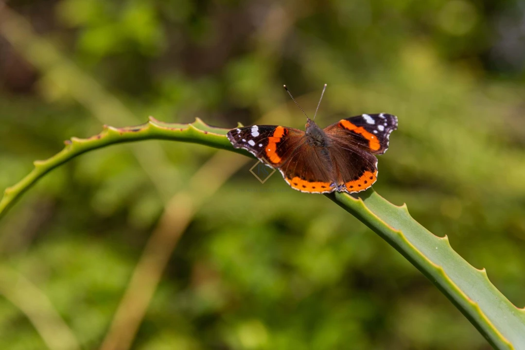 Moradia T7 para Venda em Corroios Foto 11