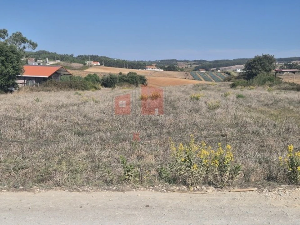 Terreno para Venda em Miragaia e Marteleira Foto 4