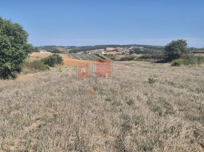 Terreno para Venda em Miragaia e Marteleira Foto 2
