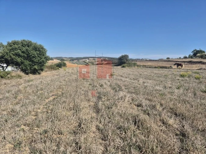Terreno para Venda em Miragaia e Marteleira Foto 5