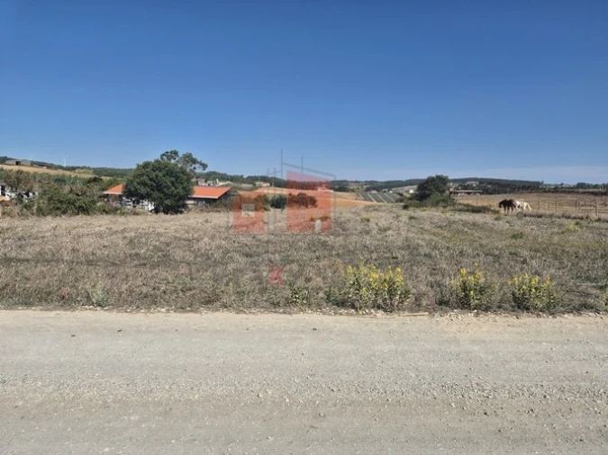 Terreno para Venda em Miragaia e Marteleira Foto 3