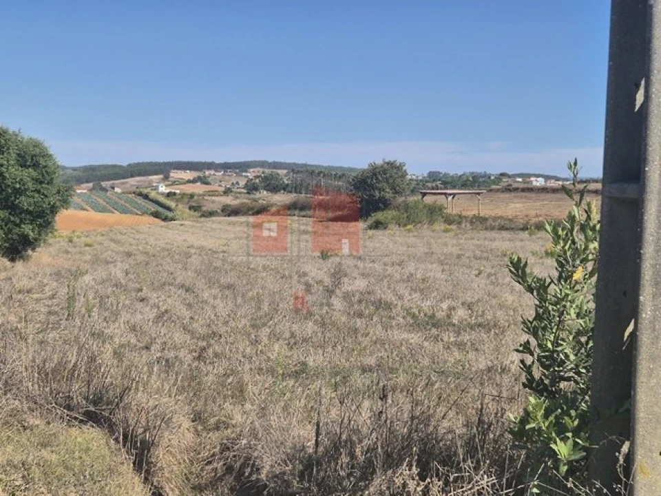 Terreno para Venda em Miragaia e Marteleira Foto 6