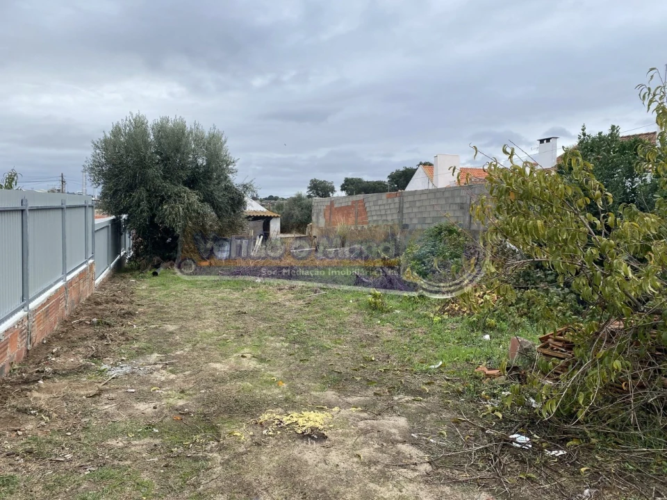 Terreno para Venda em Mora Foto 3