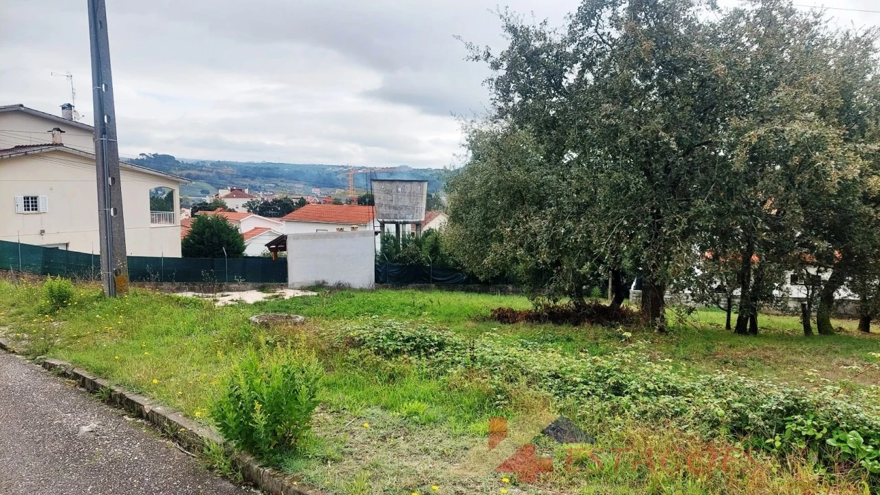 Terreno para Venda em Pombal Foto 7