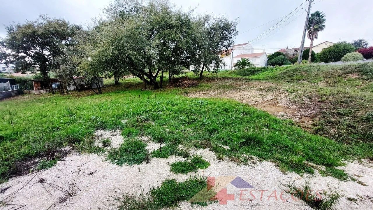 Terreno para Venda em Pombal Foto 10