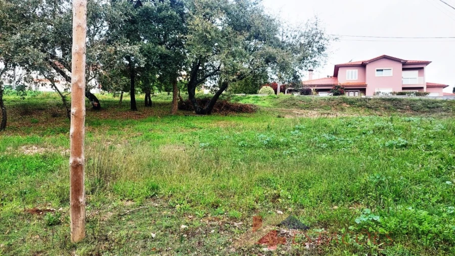 Terreno para Venda em Pombal Foto 9