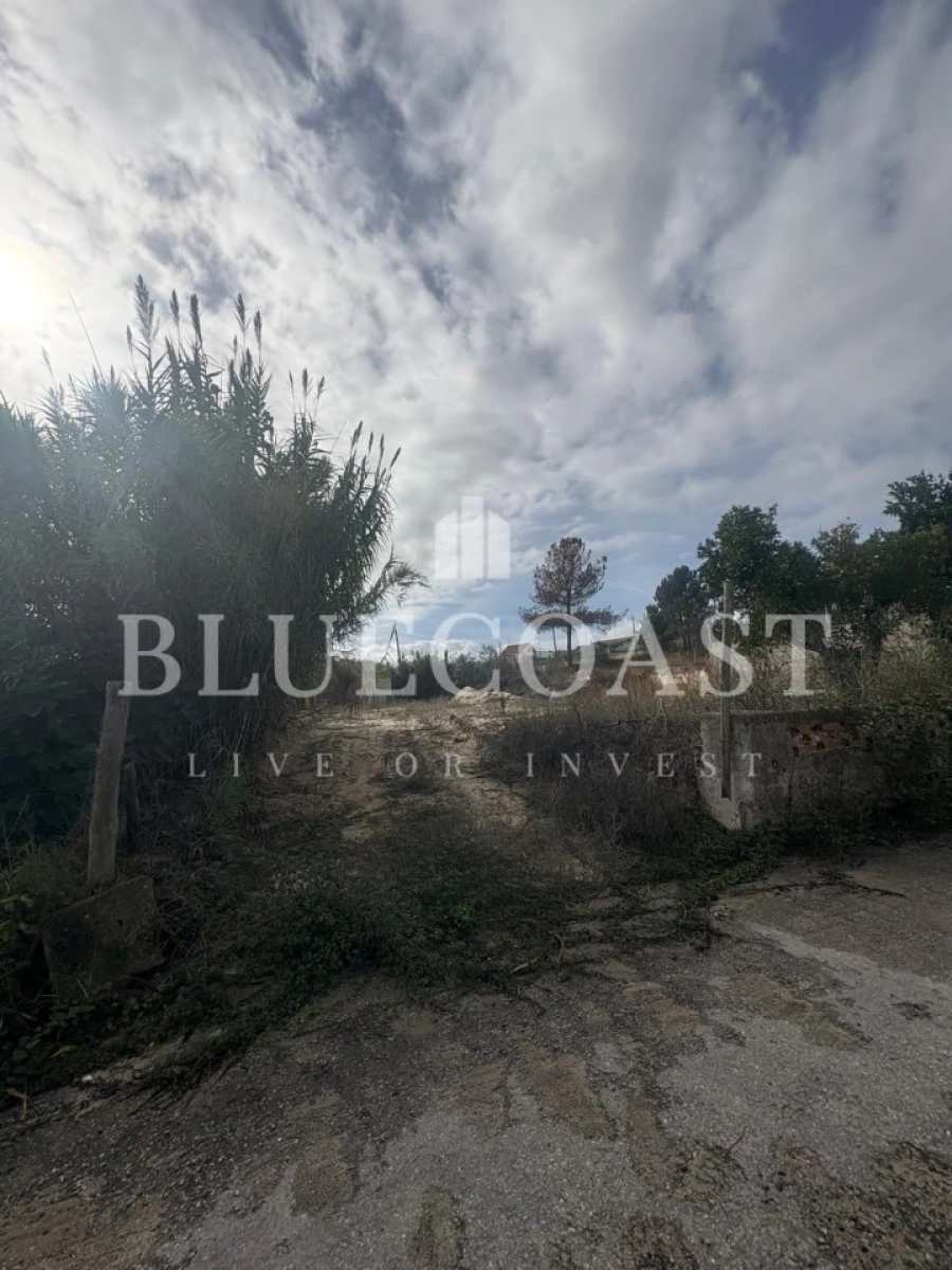 Terreno para Venda em Poceirão e Marateca Foto 3